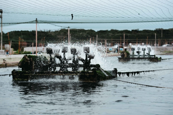 ACLI TERRA: PROMUOVERE E SOSTENERE ACQUACOLTURA E PESCA.  UNA DELEGAZIONE NAZIONALE IN TOSCANA NELLE REALTÀ LOCALI DI ECCELLENZA