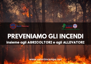 Incendi, Nicola Tavoletta (Acli Terra): Necessario non abbassare la guardia anche in Italia