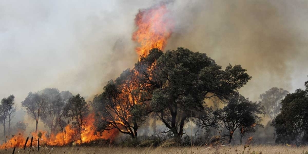 EMERGENZA CLIMATICA: URGE AZIONE A LIVELLO EUROPEO PER LA PRESERVAZIONE DEL CLIMA