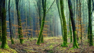 ACLI TERRA A SOSTEGNO DI AGRICOLTORI, ALLEVATORI E PESCATORI, REALI CUSTODI DELL&#039;AMBIENTE