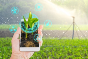 SMART AGRIFOOD: LA SFIDA INNOVATIVA DEL SETTORE AGRICOLO