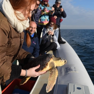 LA SINERGIA PER L&#039;ADRIATICO