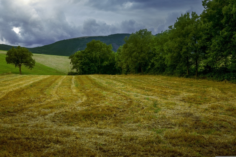 AGRICOLTURA: UILA, &#039;SHOCK FISCALE CON AZZERAMENTO TASSE PER 10 ANNI PER AREE INTERNE&#039;