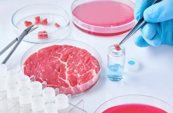 ACLI TERRA, BENE STOP A CARNE SINTETICA, GIUSTA TUTELA DI CONSUMATORI E EQUILIBRIO NATURA