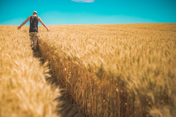 Lazio: Novelli (M5s), agricoltura e ambiente le sfide del futuro per la Regione